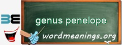 WordMeaning blackboard for genus penelope